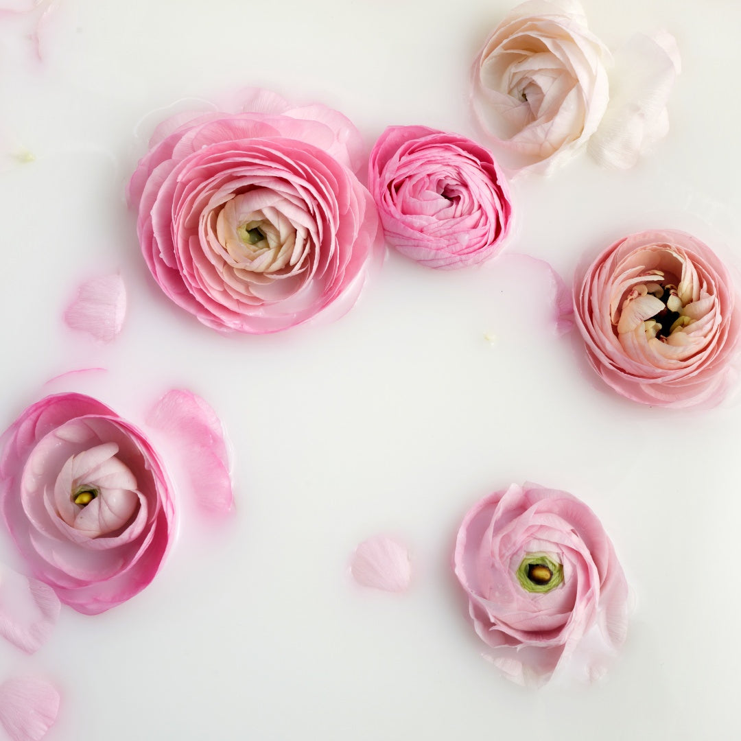 The Science Behind Camel Milk Skincare: What Makes It So Effective?