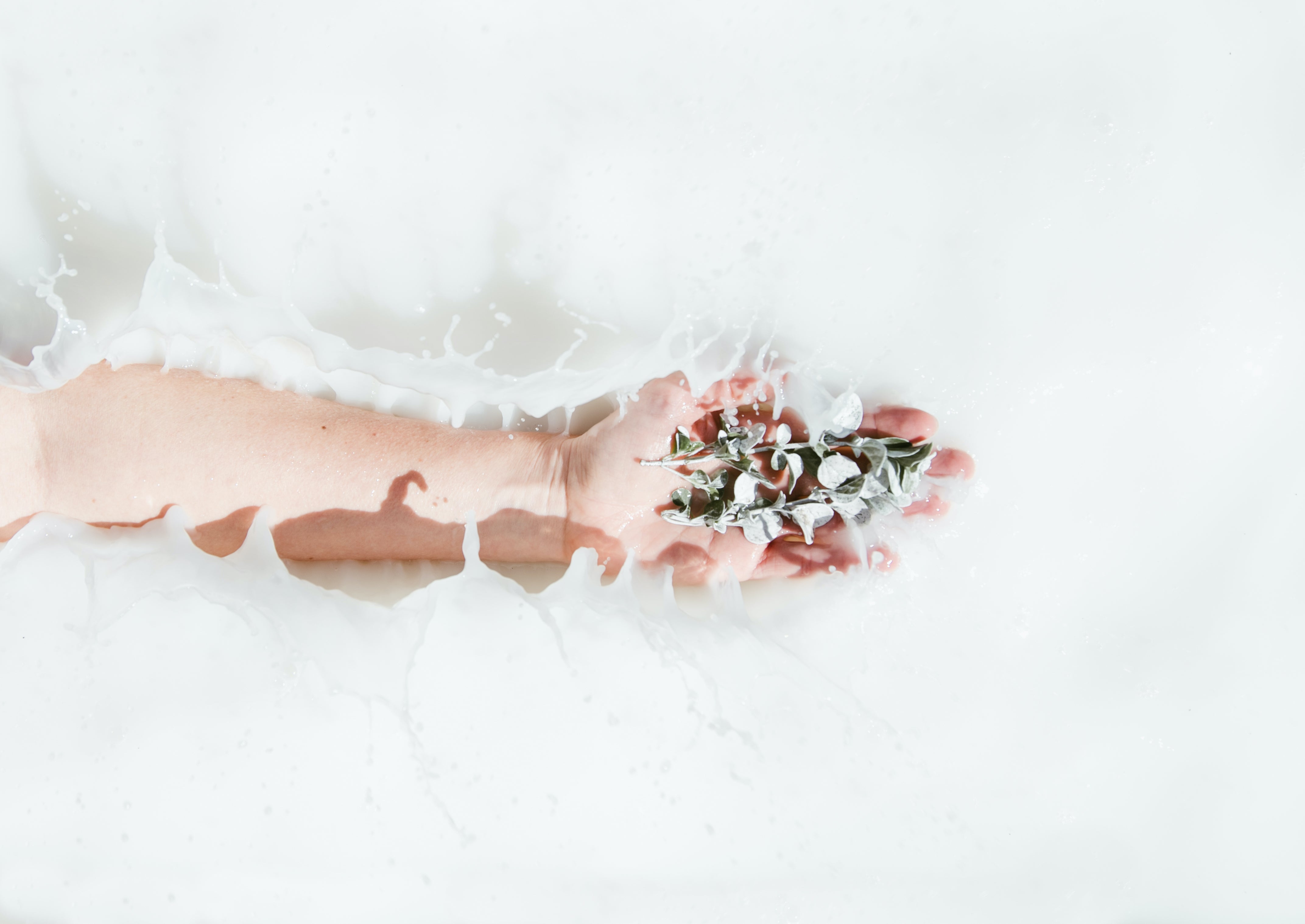 Left Arm Bathed in Camel Milk