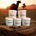 Five jars of Cammellatte Butter Lover Bundle are displayed on a log in the desert at sunset, with a camel and palm trees behind—ideal for soothing dry skin with their natural fragrance.
