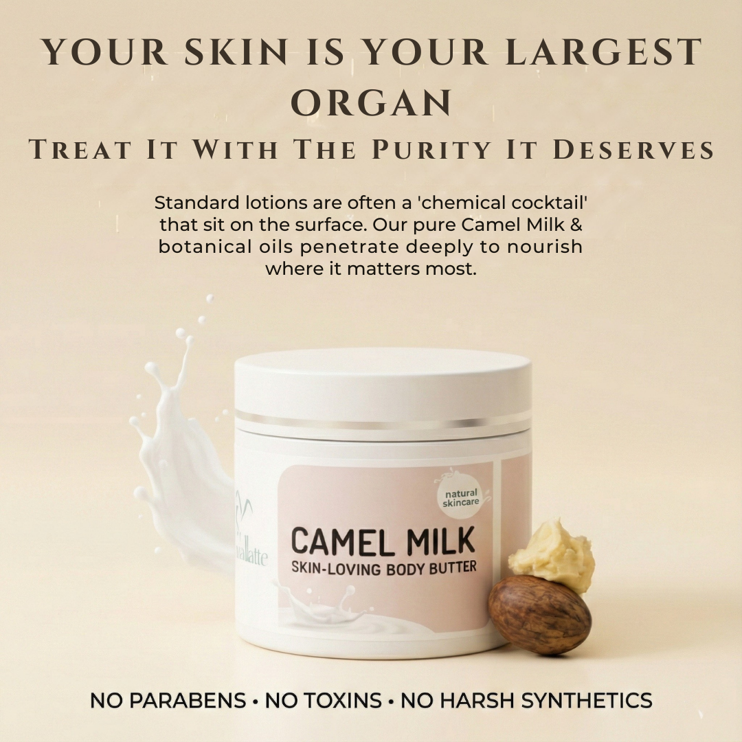 The Cammellatte Camel Milk Body Butter jar is displayed with milk splashes and a shea nut, highlighting natural ingredients like rich shea butter and its formula free from parabens, toxins, or synthetic chemicals.